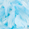 Blue Decorative Feathers